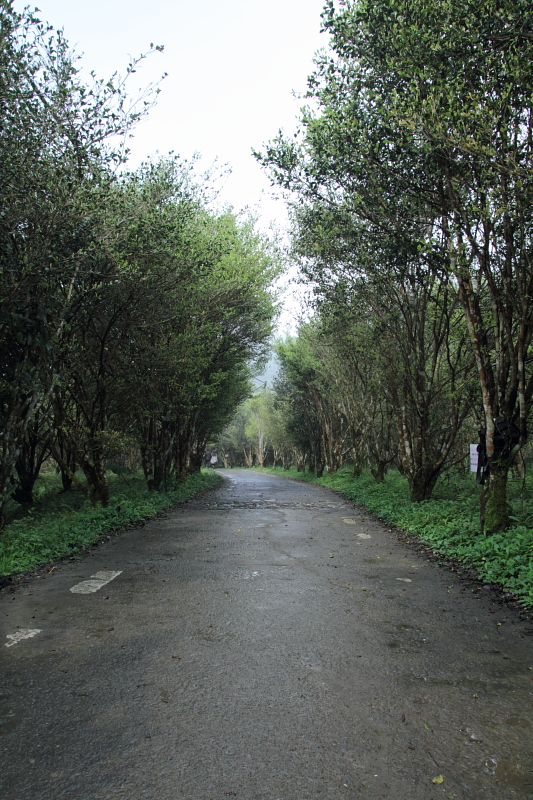 http://i.dcview.tw/gallery/201103/01121b5b5d7209fe05a801fc7eb1a8f0.jpg