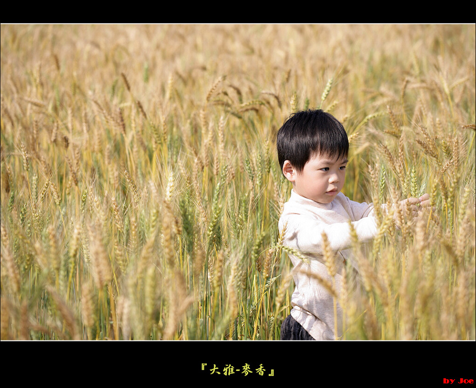 http://i.dcview.tw/gallery/201103/0255f36d1d7f2904854cc5c33f5e0a88.jpg