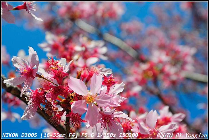 http://i.dcview.tw/gallery/201103/02c339446285d9a4cb65aa47d571c8f8.jpg
