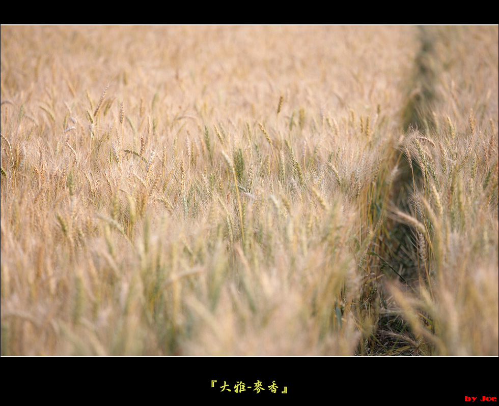http://i.dcview.tw/gallery/201103/02d1363bdd41c26840edfd56d3278719.jpg