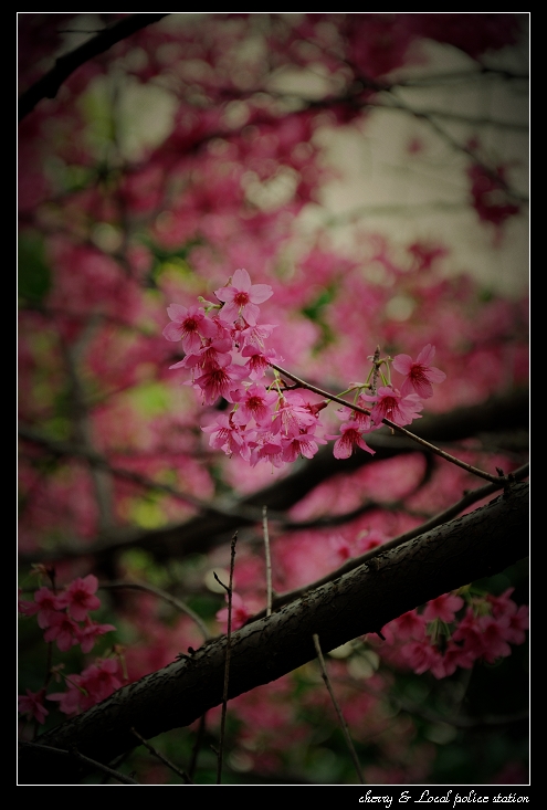 http://i.dcview.tw/gallery/201103/02e579169a42acc57b5d71890dfa2ff8.jpg