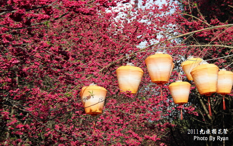 http://i.dcview.tw/gallery/201103/054124bbde165f62a4b3a3cd534f1e9e.jpg