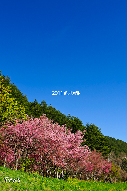 http://i.dcview.tw/gallery/201103/0635c02c4583263bfd2d3419449ae0b7.jpg