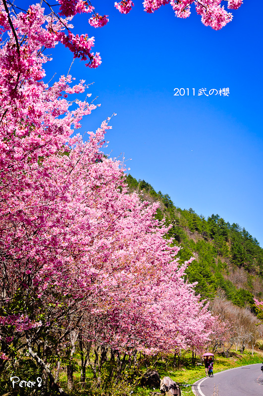 http://i.dcview.tw/gallery/201103/072acef7129682c302cd4371a532b6eb.jpg