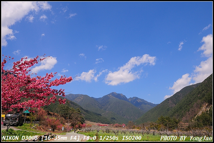 http://i.dcview.tw/gallery/201103/080a222f42d10b16060e9c0b3a79b712.jpg
