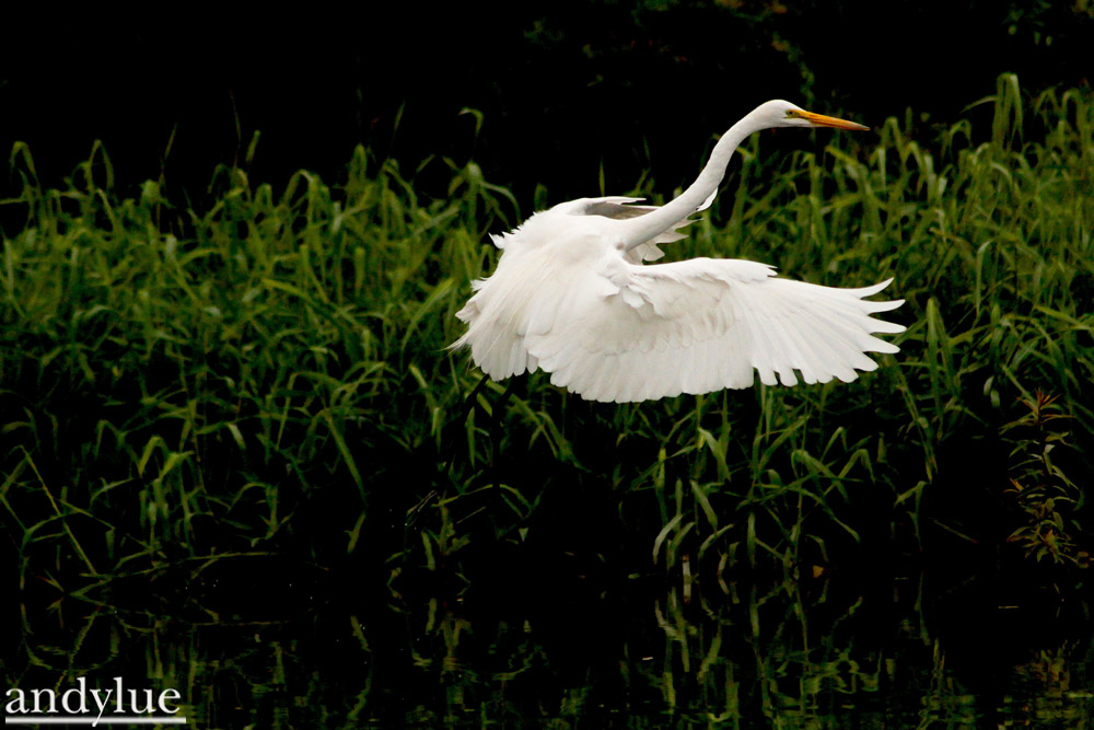 http://i.dcview.tw/gallery/201103/08f2f4152d04397f906b41e8ad72fbc2.jpg