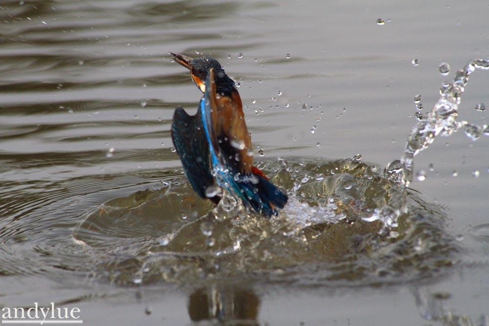 http://i.dcview.tw/gallery/201103/0d85242d8cc0f33ea83746a48891d3e4.jpg