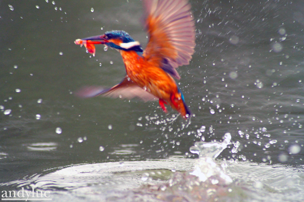 http://i.dcview.tw/gallery/201103/0e8d93b80c34926962c3a734070acf87.jpg