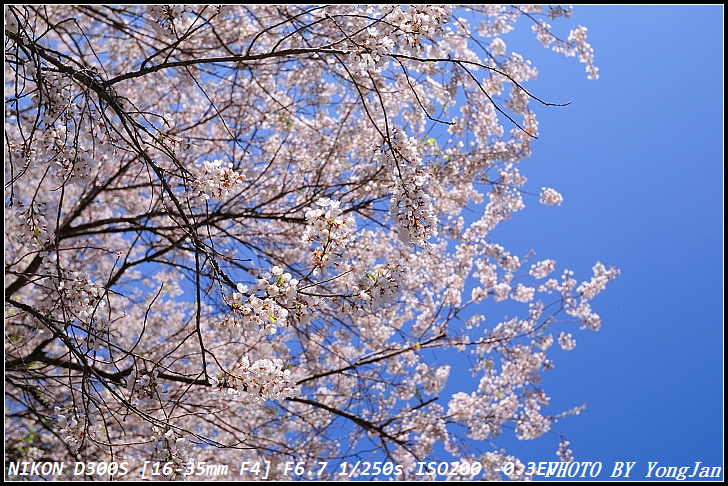 http://i.dcview.tw/gallery/201103/0e9026c96a75a32b4f1ea37994d5b4e2.jpg