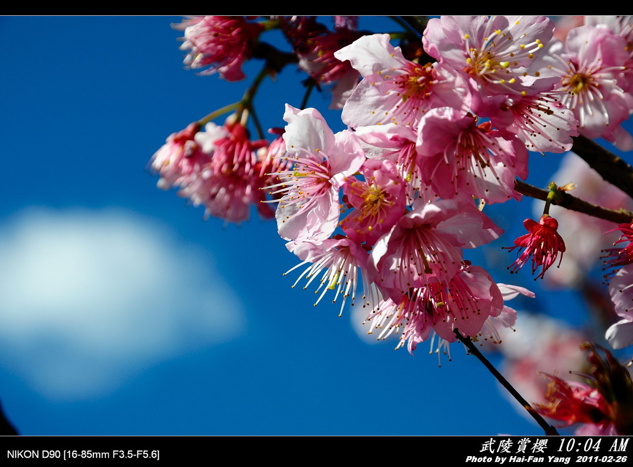 http://i.dcview.tw/gallery/201103/148f320cc5262249f5307c03124002a2.jpg