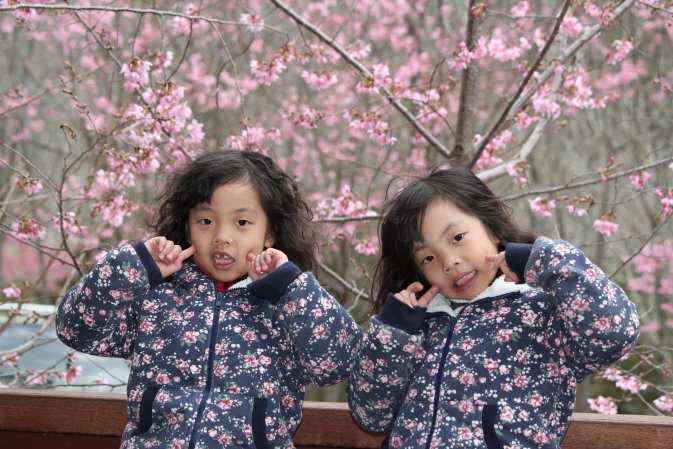 http://i.dcview.tw/gallery/201103/14d4e83033fb5943f647c57d30409c2c.jpg