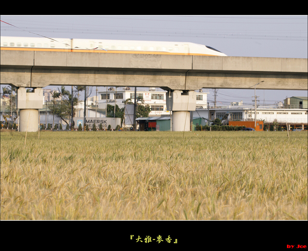 http://i.dcview.tw/gallery/201103/1befdd27a389dfa34700e214d05f5e37.jpg
