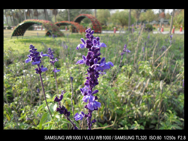 http://i.dcview.tw/gallery/201103/1e361a57096df911be029ff0c1b8a431.jpg