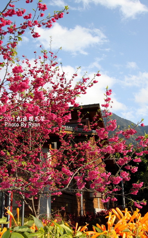http://i.dcview.tw/gallery/201103/1f68cbc2e0488f798aca24cd342609e4.jpg
