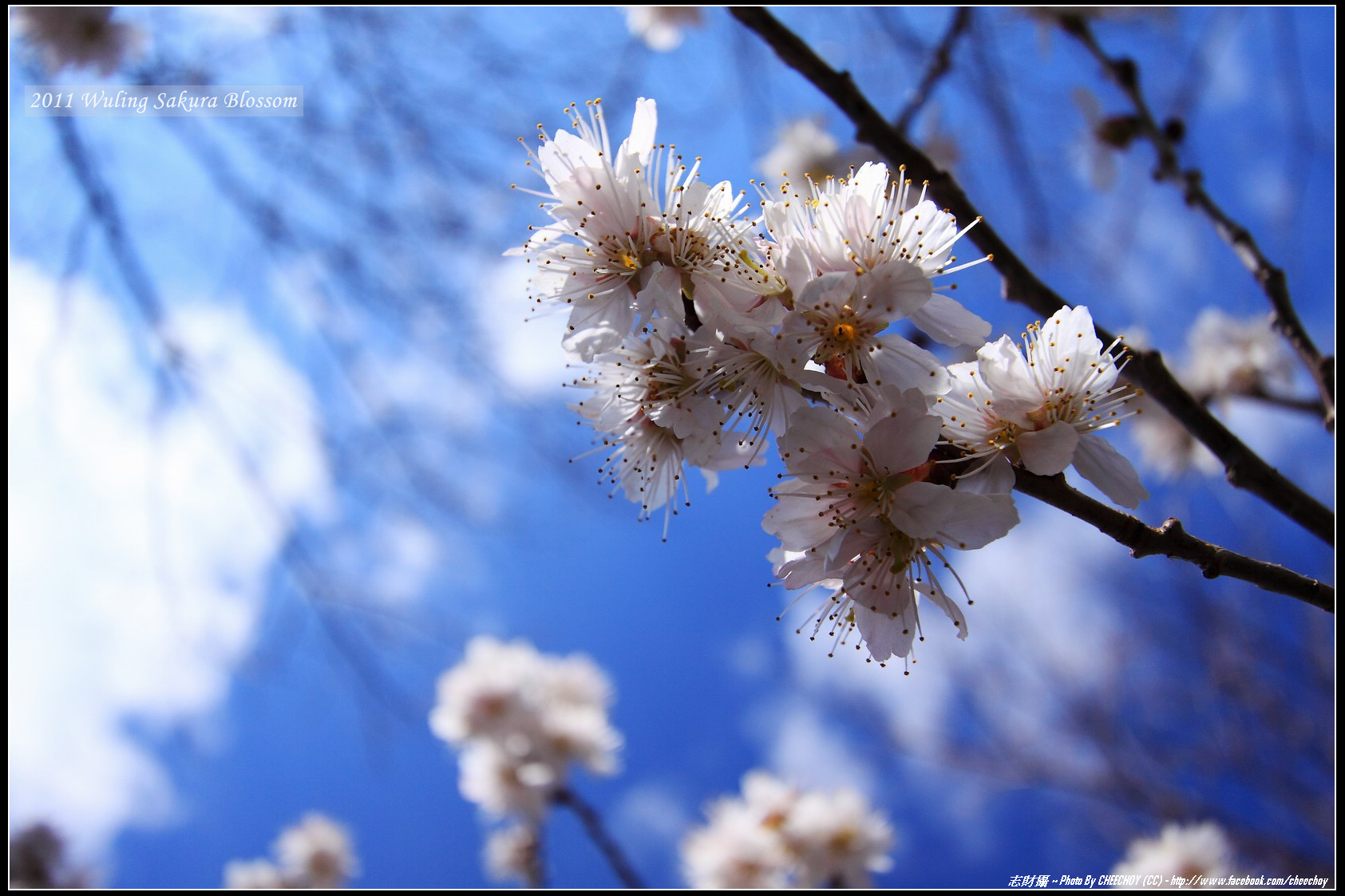 http://i.dcview.tw/gallery/201103/2326b32eff297d7e7b5407691bbfe083.jpg