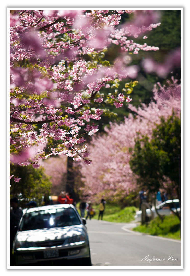 http://i.dcview.tw/gallery/201103/24e6c0c447d4b4d40fbd9b21b05b40c2.jpg
