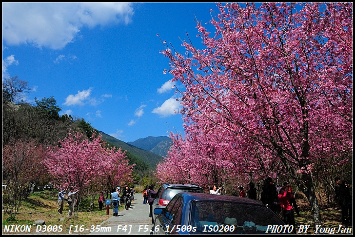 http://i.dcview.tw/gallery/201103/25e5881ecaf5769da740ae5b68e11215.jpg