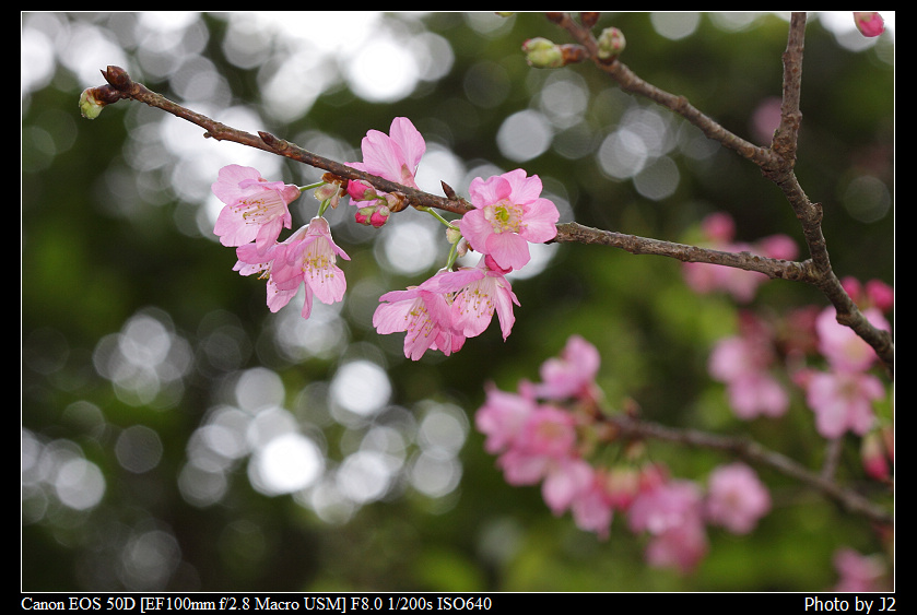 http://i.dcview.tw/gallery/201103/25eb93f8c252b1461db63f7885b4c613.jpg