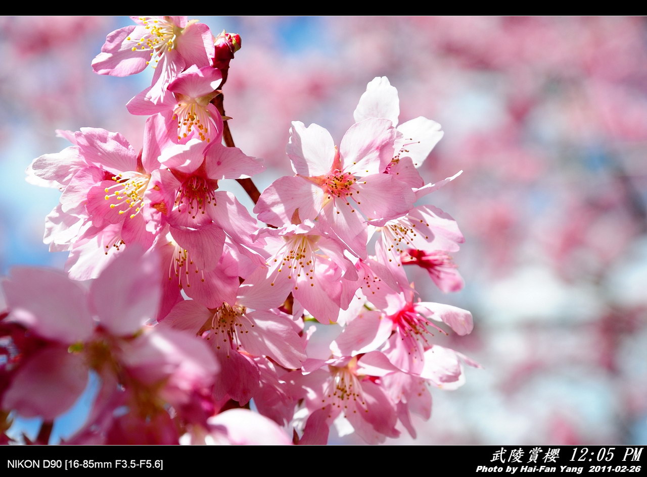 http://i.dcview.tw/gallery/201103/26166e7ea11d3eb809580a86ec5cb4c4.jpg