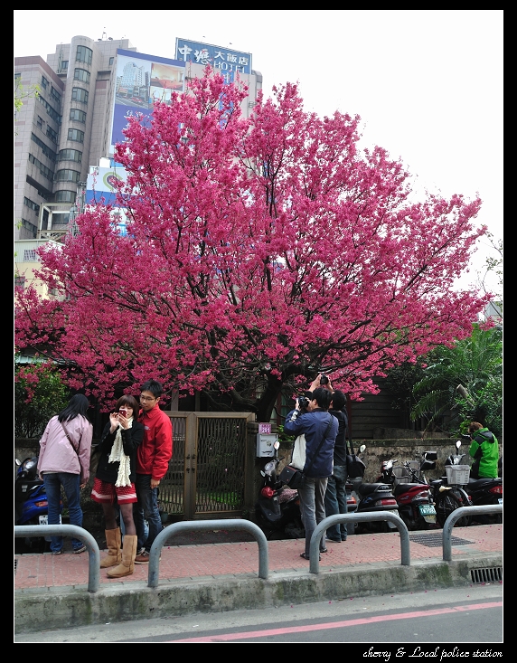 http://i.dcview.tw/gallery/201103/2709b09ea1b70350f7ceab69a6dd8051.jpg