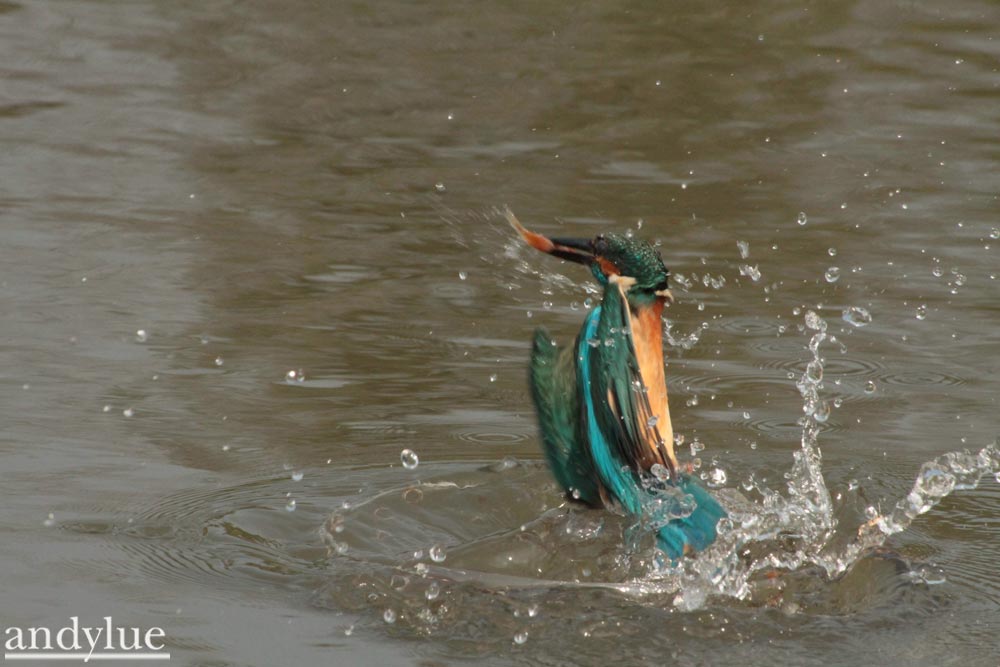 http://i.dcview.tw/gallery/201103/2fe62c82076e683a59e16c2beb29b716.jpg