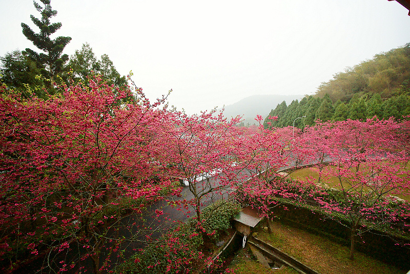 http://i.dcview.tw/gallery/201103/31d70f3b0a3ffe6fdb5d4e4abca2bcd6.jpg