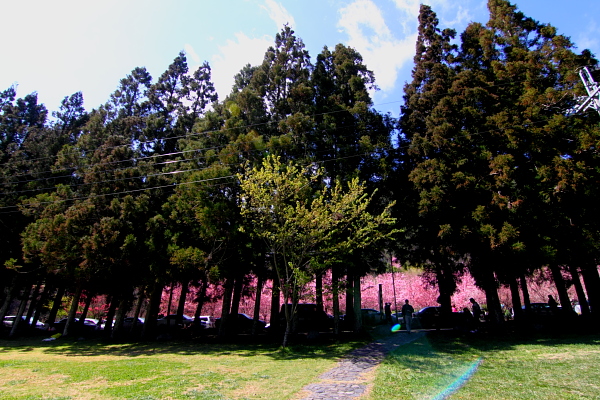 http://i.dcview.tw/gallery/201103/32b3fd0747633510c121a6797aa22afb.jpg