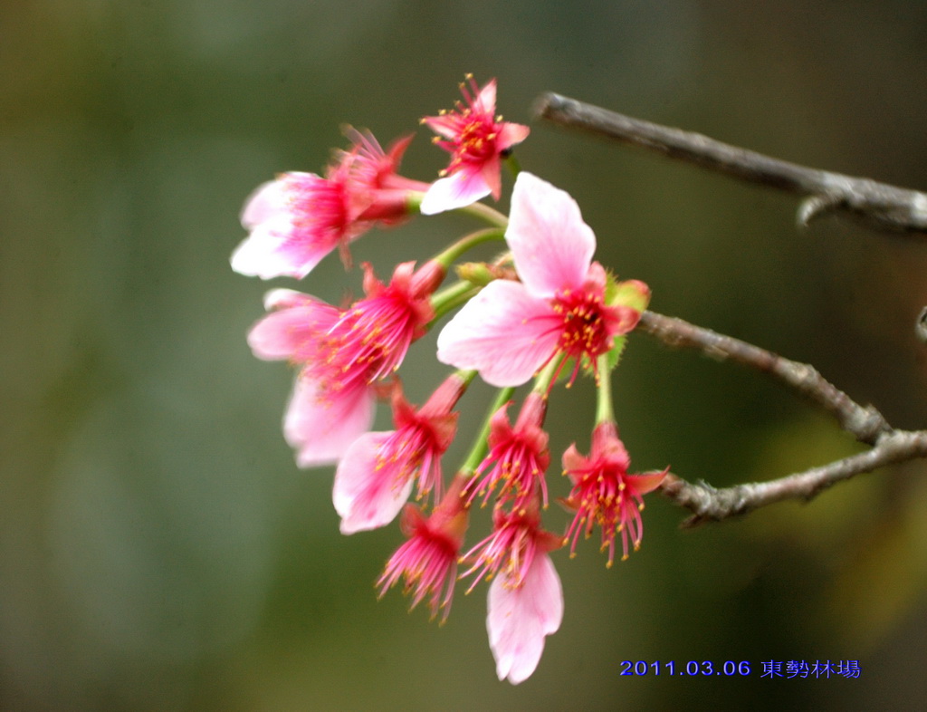 http://i.dcview.tw/gallery/201103/362946174b7d50d134c3aa9f2e9611fb.jpg