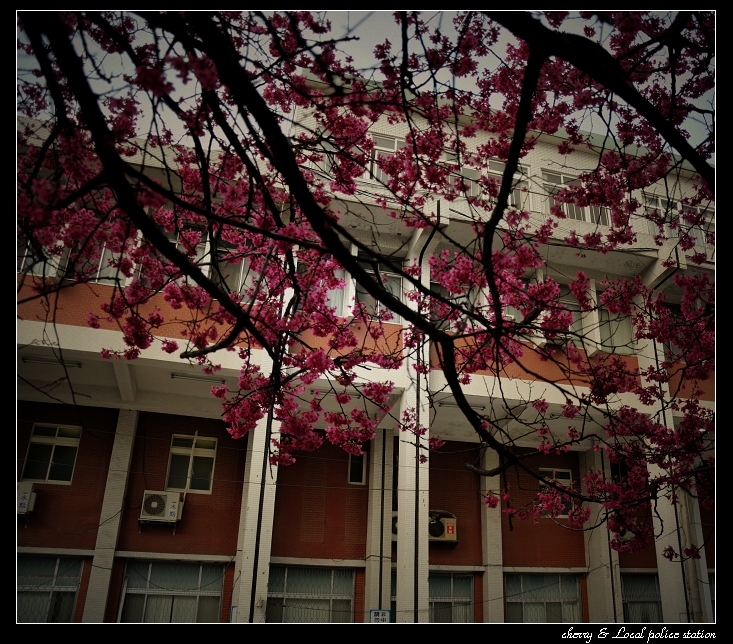 http://i.dcview.tw/gallery/201103/372111eaa4ee0c3250347fb0876252d5.jpg