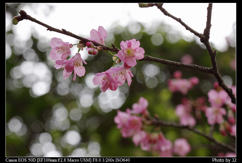 http://i.dcview.tw/gallery/201103/37b916f407107cbdf54bfff9db49a322.jpg