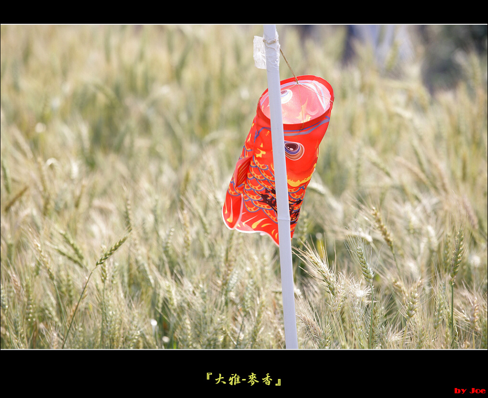 http://i.dcview.tw/gallery/201103/3d5656d162f15b691a4dd1c8f0d24855.jpg