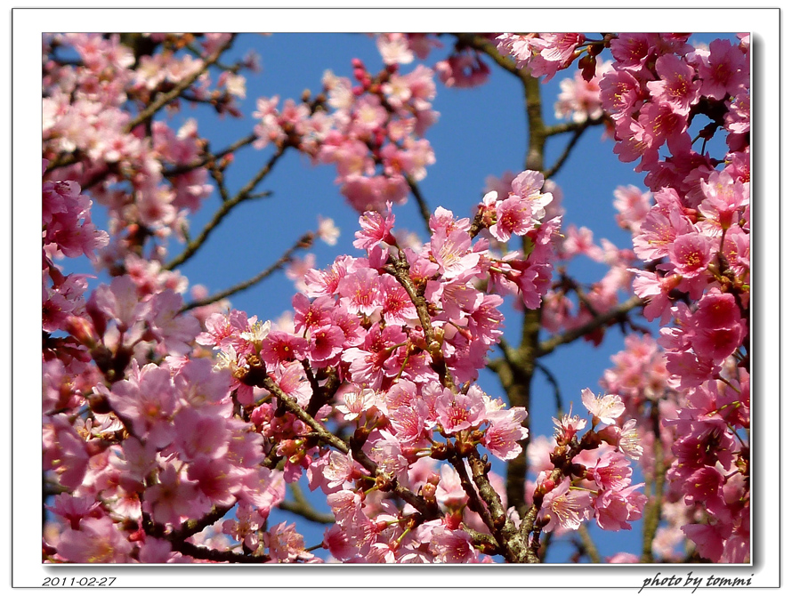 http://i.dcview.tw/gallery/201103/431303d2c6af1553d2fe176f64c2614e.jpg