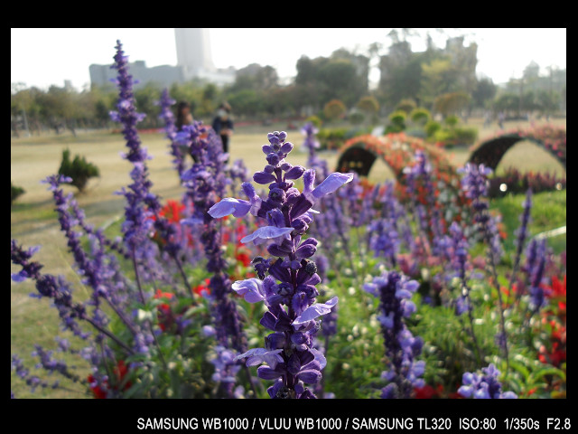 http://i.dcview.tw/gallery/201103/4314860f4a4d3d3acb7c0812996712d4.jpg
