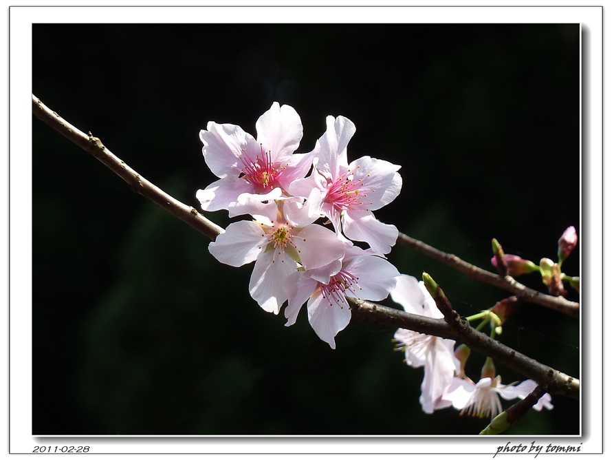 http://i.dcview.tw/gallery/201103/485026206803e7c62b0c4e60ba8aee35.jpg