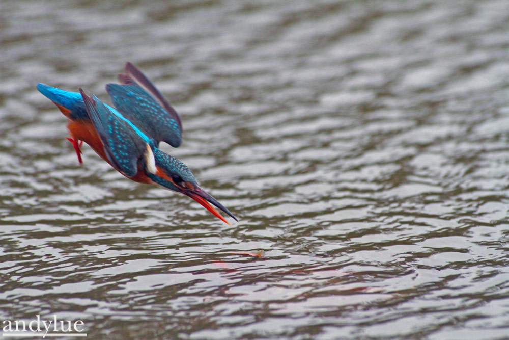 http://i.dcview.tw/gallery/201103/488f05fcf47171e483245a57e63a218f.jpg