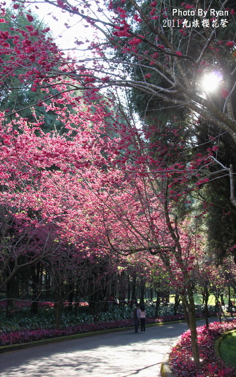 http://i.dcview.tw/gallery/201103/4a504cf43e65d9786d5187ca7c2dccb2.jpg