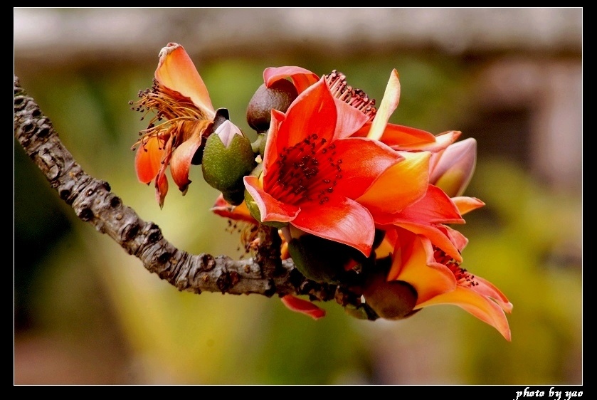 http://i.dcview.tw/gallery/201103/4be0260de8960b0d3899247b75588df7.jpg