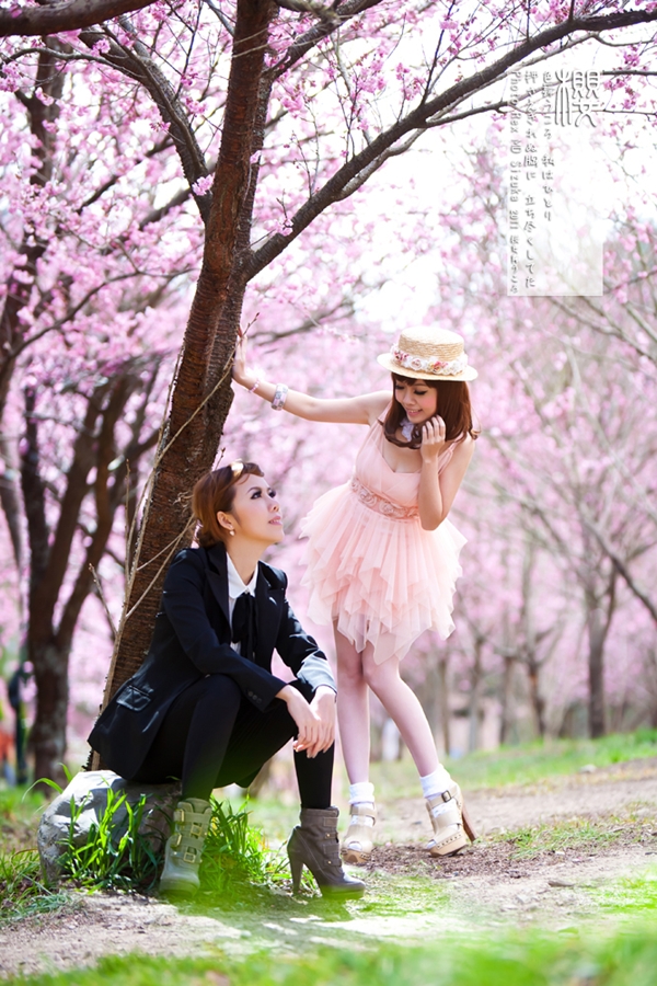 http://i.dcview.tw/gallery/201103/4c0cc084d28c2639377fdd230a11d916.jpg