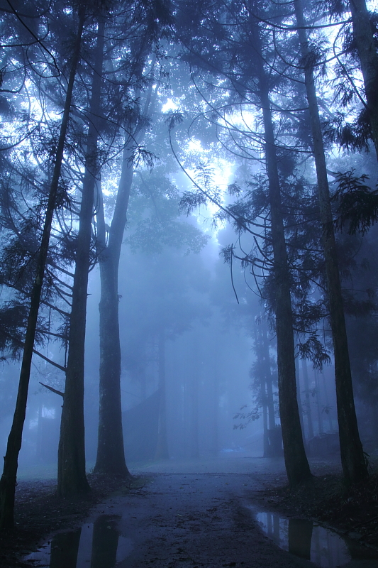 http://i.dcview.tw/gallery/201103/4c31d23139ff2a41b3ac1b40113f0e0f.jpg