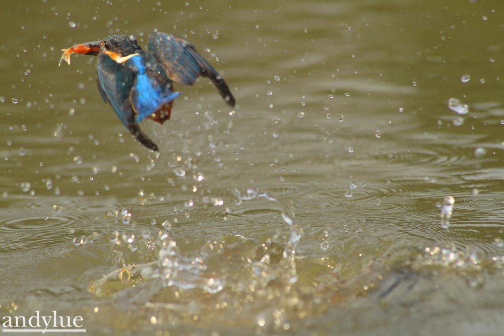 http://i.dcview.tw/gallery/201103/4d851b4d4c410c8cc92119c4a5802ee1.jpg