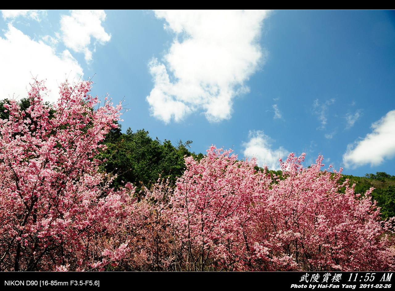 http://i.dcview.tw/gallery/201103/52fecce803468cc60afbcaf80c3adb1e.jpg