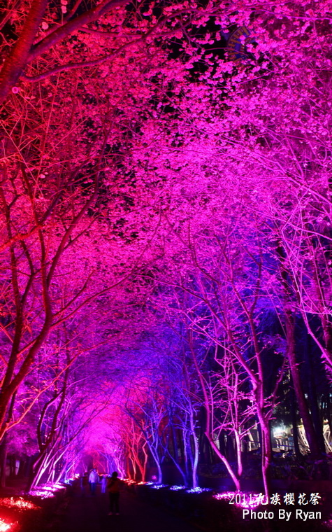 http://i.dcview.tw/gallery/201103/53e2351e139f3d4d9dca044bae8a4fd3.jpg
