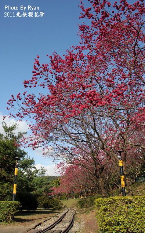 http://i.dcview.tw/gallery/201103/548dae4b8caf5dafd77e0b2c6d155ae6.jpg
