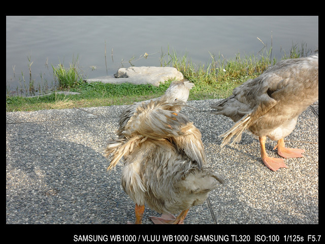 http://i.dcview.tw/gallery/201103/56432fd326b85f3907e04b99db1aeaa7.jpg