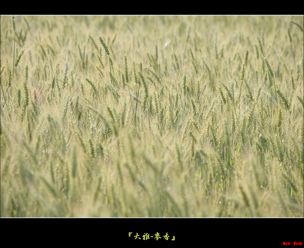 http://i.dcview.tw/gallery/201103/56d0f861a651b0891779e9157d3f0994.jpg
