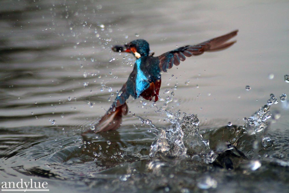 http://i.dcview.tw/gallery/201103/5a2a511b8663206fd554af4bca25a9a8.jpg