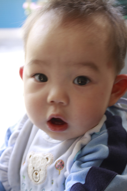 http://i.dcview.tw/gallery/201103/5a82cde96397e6b5d47313cc6a89cd47.jpg