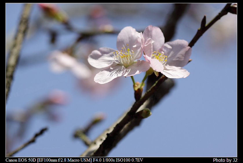http://i.dcview.tw/gallery/201103/6105b4aefd947ec8e3a1ebdf3b89dde2.jpg