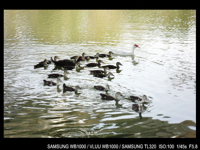 http://i.dcview.tw/gallery/201103/6295e5b25e37a957c2065964deda915b.jpg