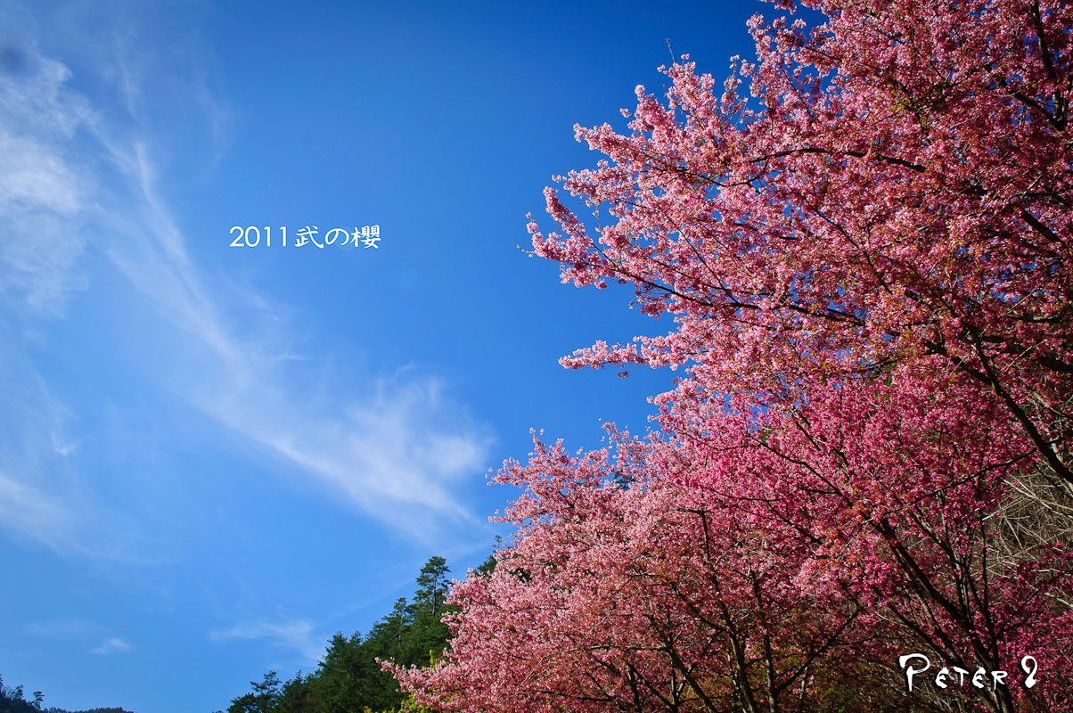 http://i.dcview.tw/gallery/201103/6383be16152b813aa4d9c37e0a08d649.jpg